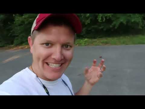 SmarterEveryDay! The Backwards Brain Bicycle - Smarter Every Day 133