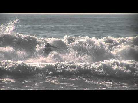 HURLEY WELCOMES MIGUEL PUPO TO THE FAMILY