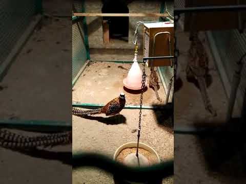 Ekopark-heyvanlar😍