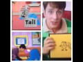 Blue S Clues Email Malitime And We Just Got A Mail