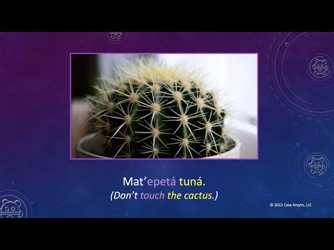 Let's Talk Taíno 53 - Sense of Touch ✋🐇🌵