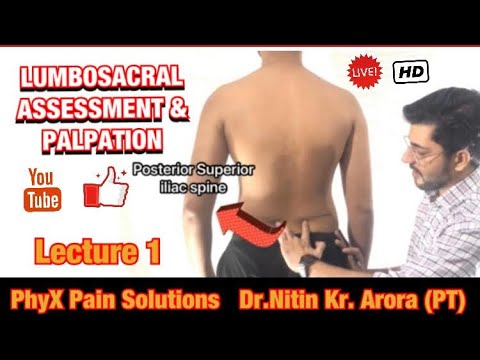 Assessment and Palpation of Lumbosacral Spine | Nitin Kumar Arora | PhyX Pain Solutions