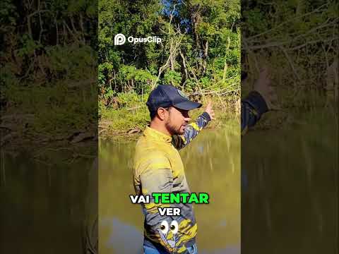 Pesca com Artificial - Peixes e Iscas Incríveis!