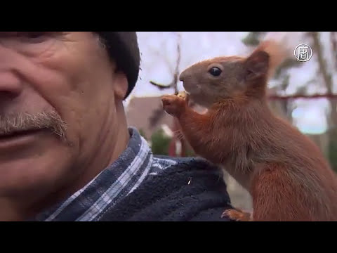 Это не белка, это какой то энерджайзер