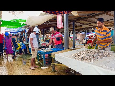 Unseen!! Morning Traditional Fish Market Scenes |Village Fish Market Tour