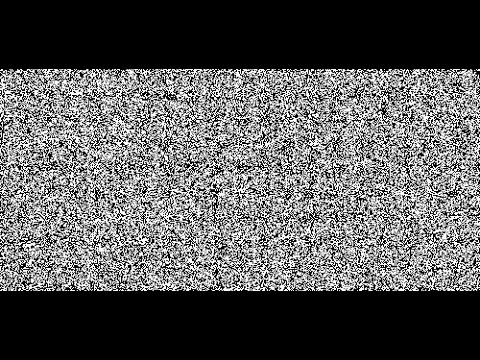 Randomness in Science and Daily Life by Klaas Landsman