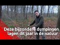 Deze bijzondere afvaldumpingen lagen dit jaar in de natuur