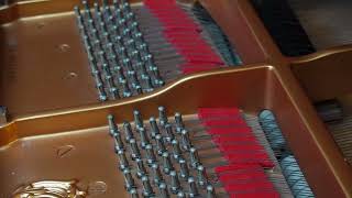 Download lagu Liszt/Un sospiro/ Yamaha CFⅢ/ Teppey Scriba-Yamada/ 2026.06.29 mp3