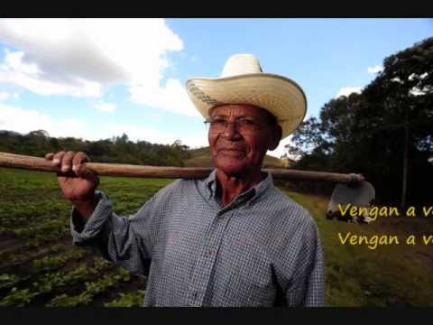 Vengan A Ver Mi Granja