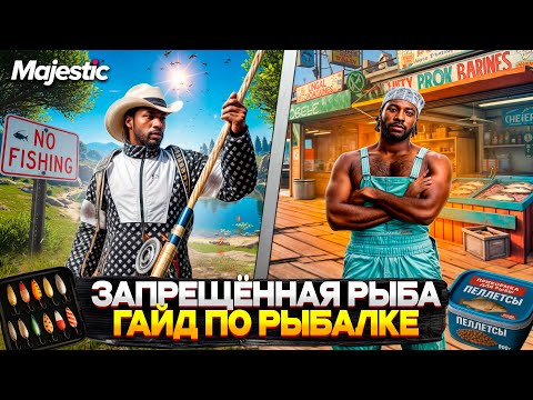 ГАЙД по ЗАПРЕЩЁННОЙ РЫБАЛКЕ на MAJESTIC RP 2025! ЧТО ВЫГОДНЕЕ ФАРМИТЬ на GTA 5 RP?
