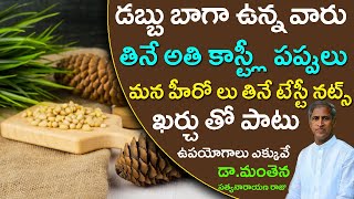 Pine Nuts : Most Impressive Nuts | More Than Taste Walnuts, Almonds | Dr Manthena Satyanarayana Raju