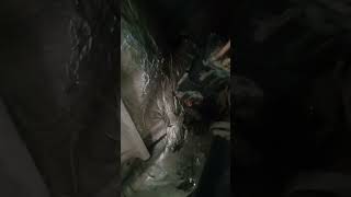 Reparación efectiva y code p1812 Ford