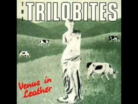 The Trilobites - Venus In Leather