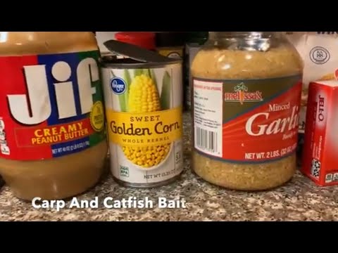 Carp And CatFish Homemade Bait