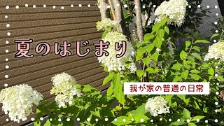 【日常Vlog】夏のはじまり