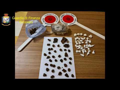 GdF Grosseto   Operazione Free Park