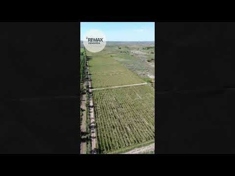 FINCA DE 24 HA EN VENTA EN LAS HERAS, MENDOZA
