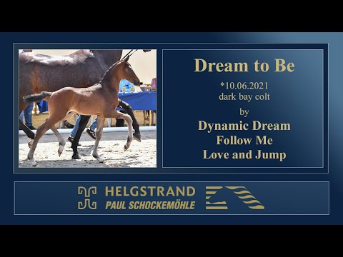 08 Dream to Be by Dynamic Dream - Follow Me - Love and Jump