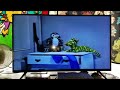 Opening Closing To Winnie The Pooh And The Honey Tree 1987 VHS
