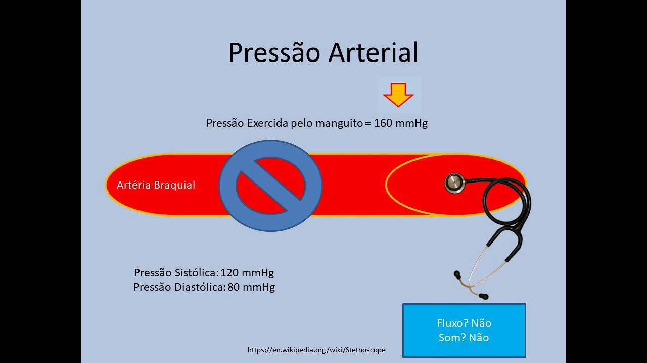Aprendendo Fisiologia: Pressão Arterial e Controle a Curto Prazo  (por Gabriel Lima) - Parte 1/2