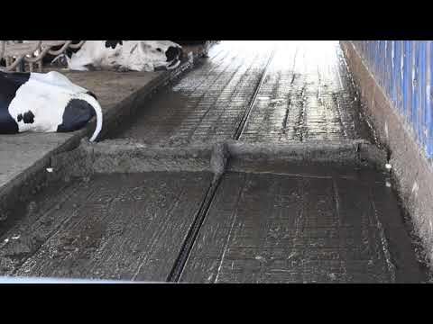 Tosun Tarım Zincirli Gübre Sıyırma Sistemi