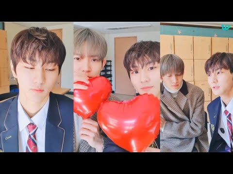 Eng/Indo/Jap SUB  ENHYPEN Weverse today live in 한림  21.02.2022    #enhypen