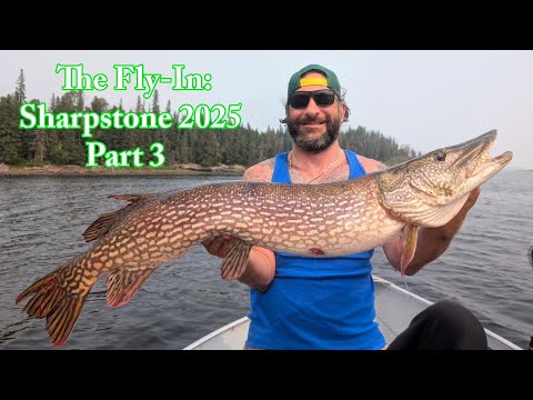 The Fly-In: Sharpstone Lake 2025 - Part 3: Moar - Bigger - Better - Fish | Canada Fishing