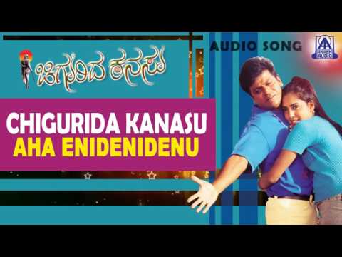 Chigurida Kanasu - "Aha Enidednidenu" Audio Song I Shivarajkumar, Vidya Venkatesh, Rekha Unni
