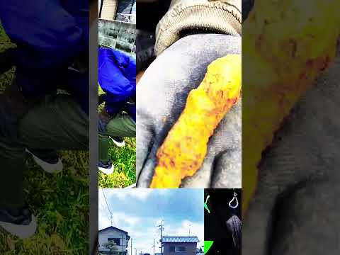 言語文化学科 奈良大学紹介動画　その１（文学部文化財学科） #shorts #奈良 #歴史 #考古学 #保存科学 #美術史学 #史料学 #水中考古学