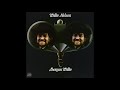 Willie Nelson - Local Memory (1973)