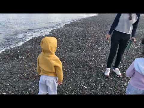 Ayden accidentally threw a rock to Zayd at Petone Beach