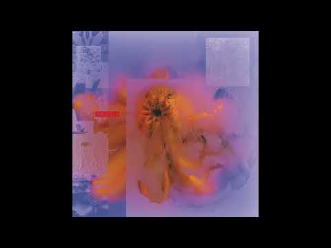 Placid Angles - Setting Suns