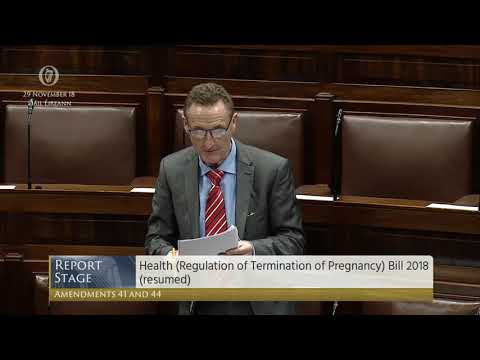Deputy Peter Fitzpatrick - Government Business - 29.11.2018