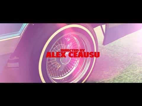 Culita Sterp ✖️Fiki ✖️ coști