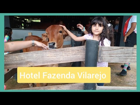 Videos del Fazenda Vilarejo 4★ en Conservatória, BrasilVer MásVerPrecios12CerrarConsulta por Whatsapp 🇦🇷BookingTripadvisorExpediaAgodaPricelineTripSkyscannerDespegarKayakHotelesDestiniaTrivago