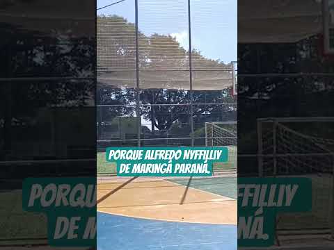 #Parque Alfredo Nyffilliy de Maringá, Paraná.