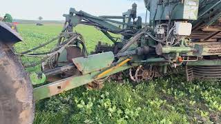 Arracheuse de betteraves Thyregod T7 | Image 4 - Agroline