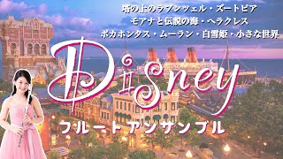 【フルートアンサンブル】総集編 (Disney映画より) [Flute Ensemble] （Disney)
