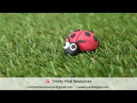 Modelling Clay - How to Make a Ladybird/Ladybug (Beginner Level)