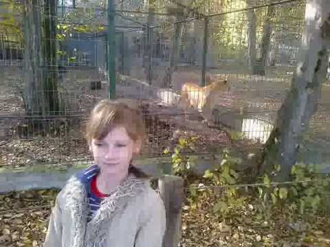 Rusu Stefania Mociu 2012