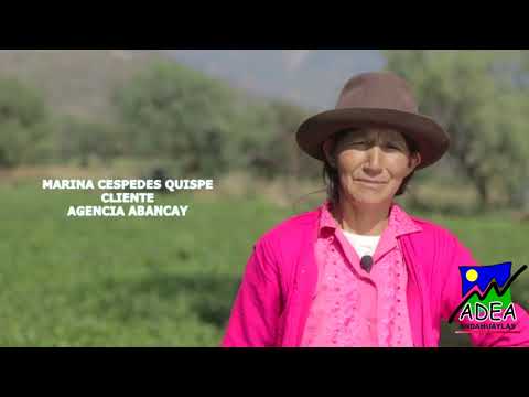 Video Institucional Principal