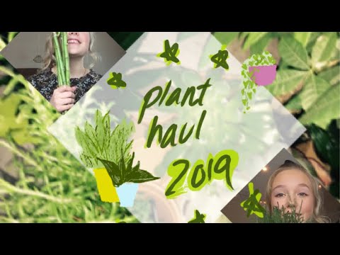 download lagu mp3 mp4 Cute Plant Names, download lagu Cute Plant Names gratis, unduh video klip Cute Plant Names