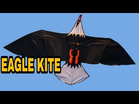How To Make Eagle Kite | Bird Kite | Saranggolang Agila | #Vlog2