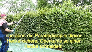 Parkside 40V Akku Kombigerät PDKGA 40-Li A1 - Heckenschere Praxis