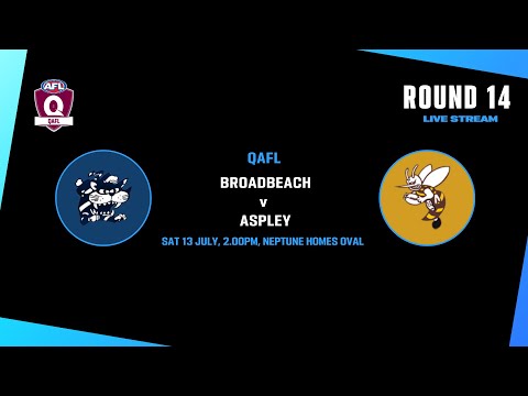 LIVE QAFL ROUND 14 - Broadbeach v Aspley
