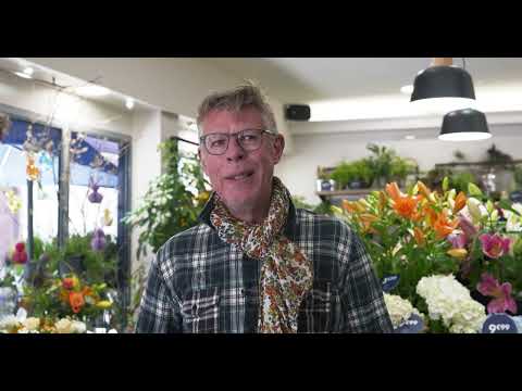 Monceau Fleurs - Troyes