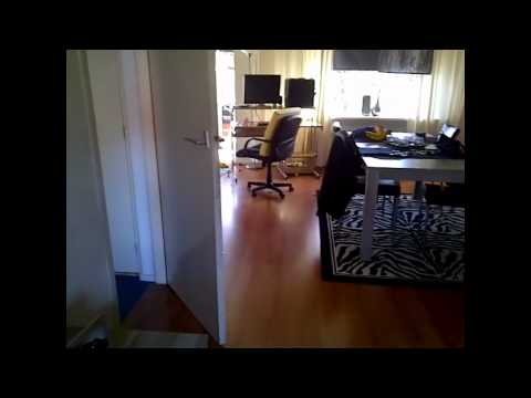 Schrikken!! grappig. Lees De Beschrijving [HD]