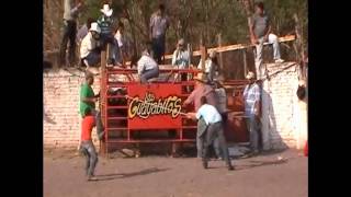 TORO CANELO Y EL PUYAS.wmv