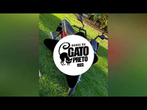 BONDE DO GATO PRETO E MC TETEU - LEI DA VIDA