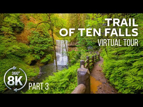 360° VR Virtual Hike - Forest Walk along the Trail of Ten Falls - 8K Virtual Relaxation - Part #3